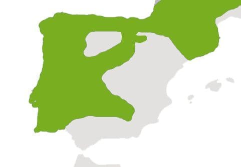 DISTRIBUCIÓN SALAMANDRA COMÚN.jpg